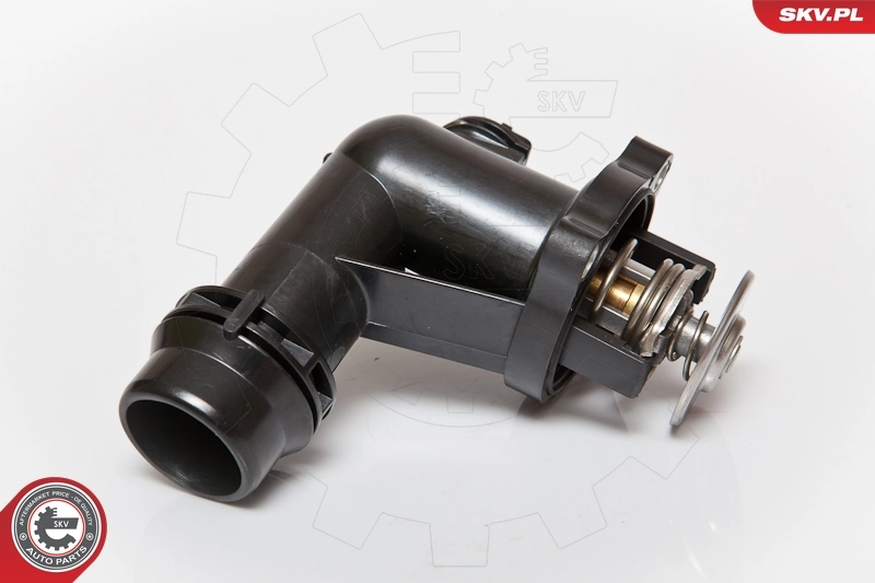 Thermostat, coolant